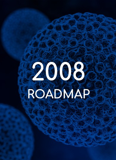 EUROGIN 2008 - Roadmap